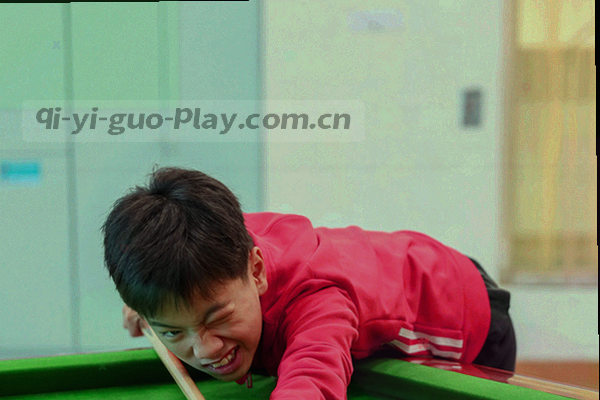 抽象奇异果形与金色圆环，代表会员续费